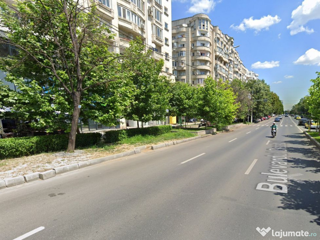 Zona P-ta Alba Iulia sp 250 mp open space vitrina generoasa