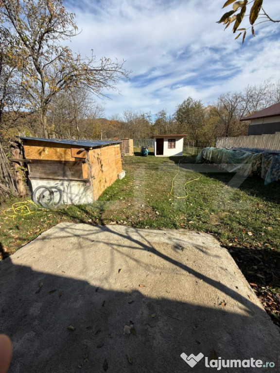 Teren intravilan 1500 mp, ideal pentru casă – Iedera