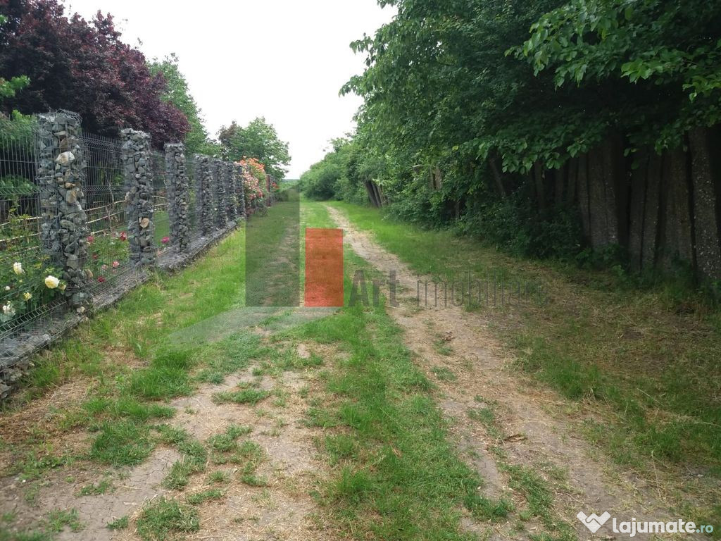 Teren Buftea cu iesire la lac