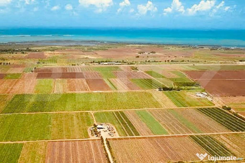 Terenuri extravilane agricole de vanzare - Voila, Brasov 22.