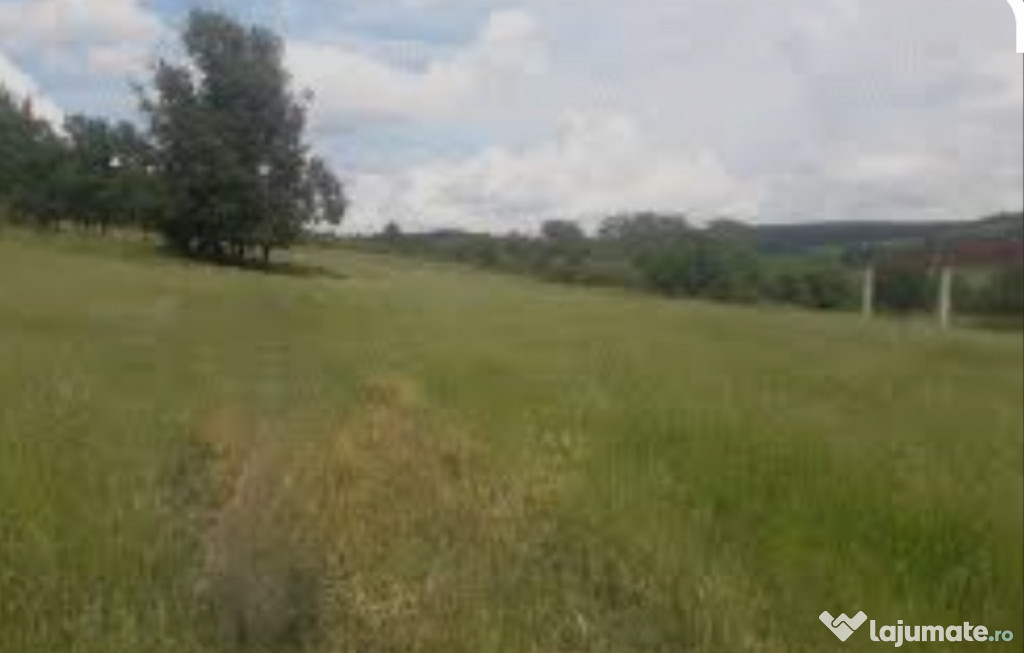 Teren intravilan Comeat