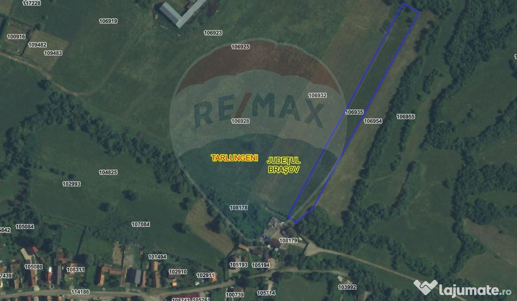 Teren 5.800 mp Purcareni curent, gaz, apă / Strada 30 de...