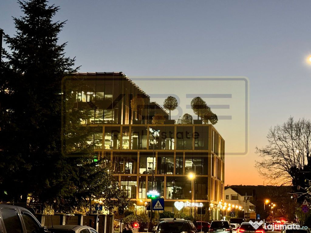 Casa individuala Centru - Palas Campus