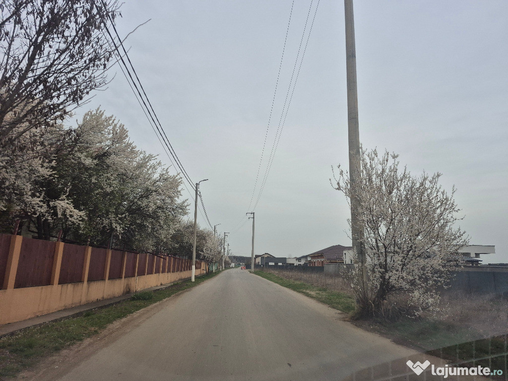 Teren Balotesti,padure Sri,400mp