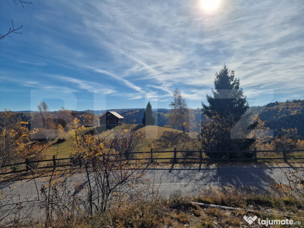 Teren intravilan, 24.888mp, front la strada, utilitati, Mari