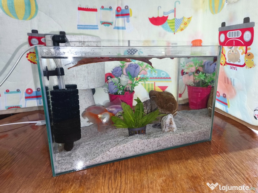 Acvariu cu doi pești goldfish 40x25x24cm