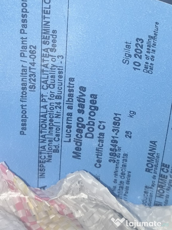 Samanta Lucerna Certificata Sandra, Madalina, Dobrogea, Mihaela