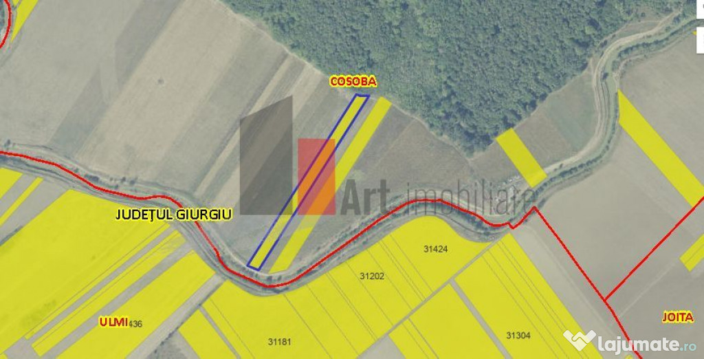 Teren Intravilan Padure Joita