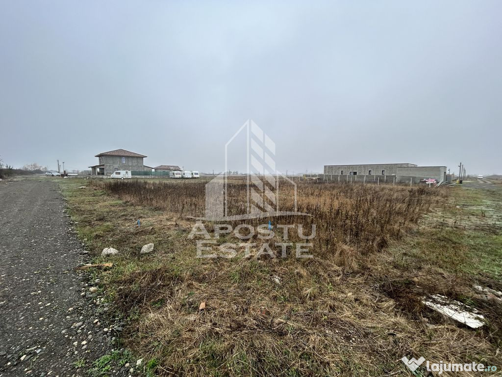 Teren 530 mp, Sacalaz, zona de case noi, zona PUZ Cosma.