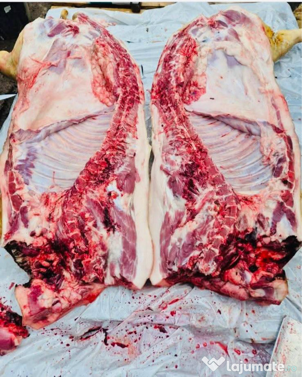 Carcasa porc mangaliță