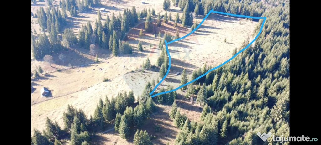 Teren 16,289mp Coverca / Drumul Bucinis