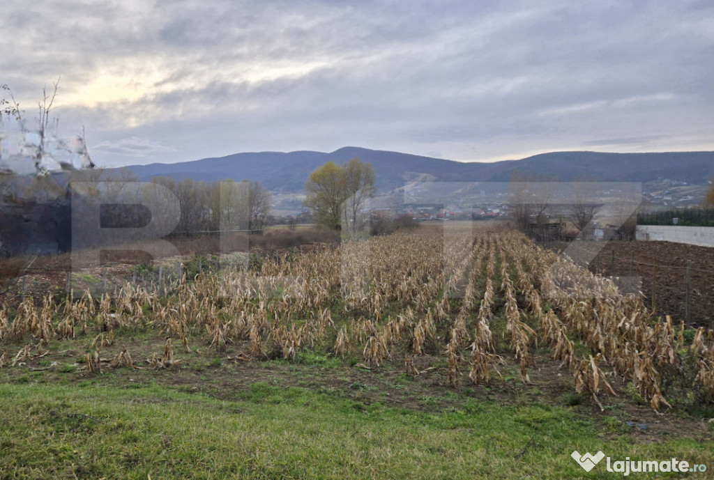 Teren intravilan, 2100 mp, Micesti