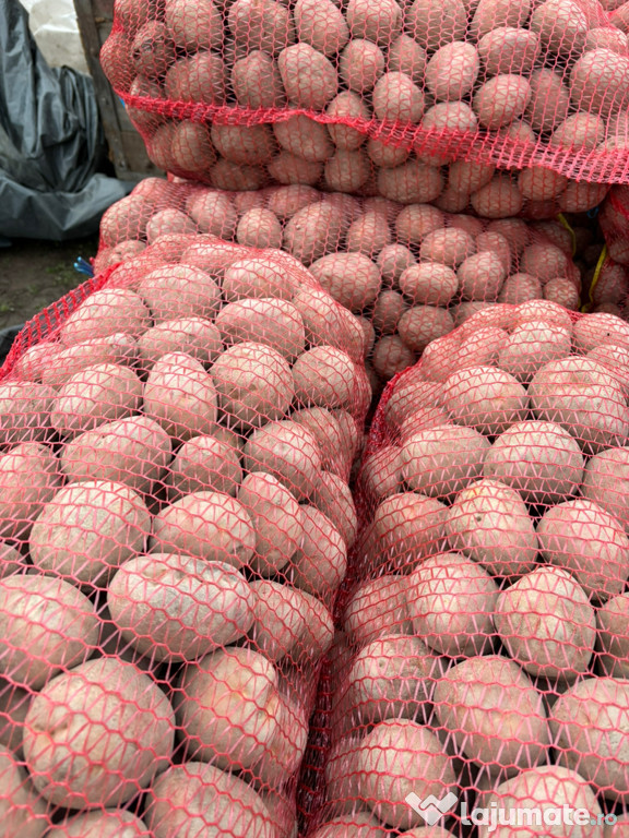 Cartofi Consum Bellaroza