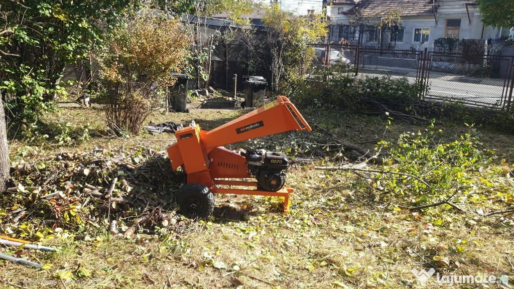 Cosesc iarba/defrisez/tai lemne/debarasare