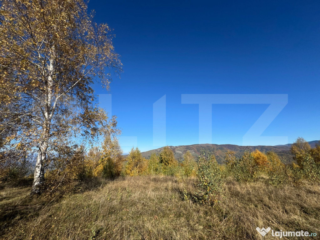 Teren extravilan de 17.183 mp in Târsa