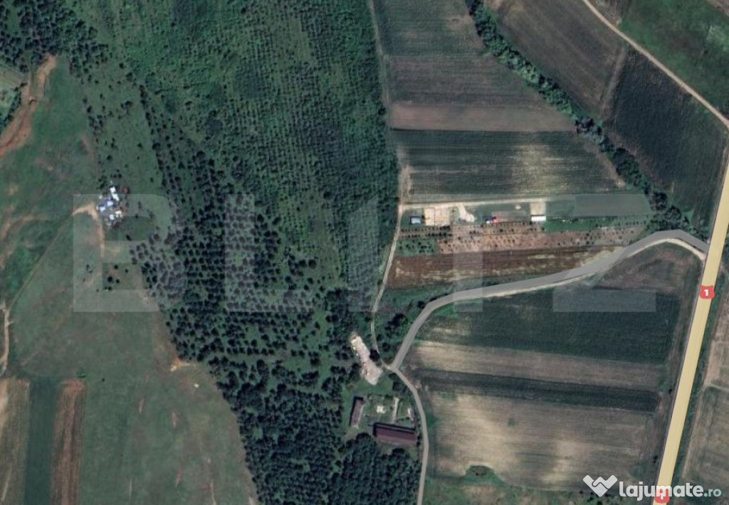 Teren extravilan 5996 mp, zona Valea Sasului - Teius