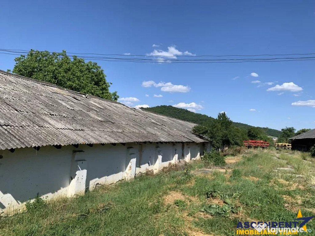 Spatiu comercial Industrial multifunctional: productie, depo