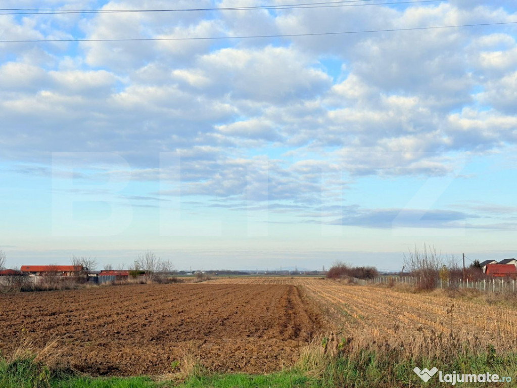 Teren de vanzare, 52 de ari, zona Odoreului