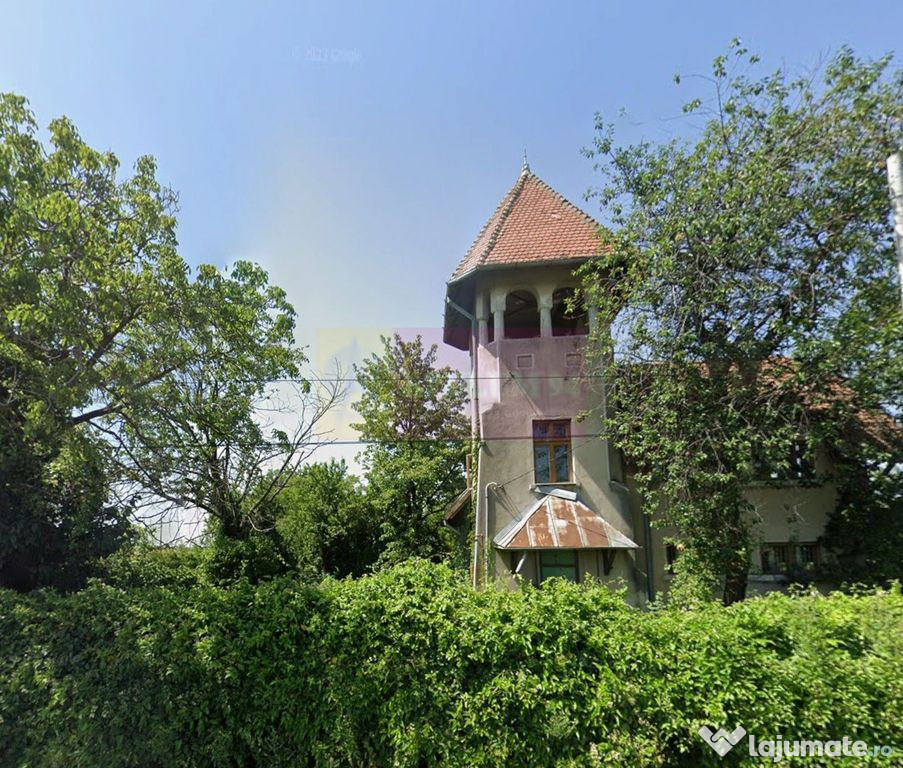 Casa de vanzare (vad comercial)