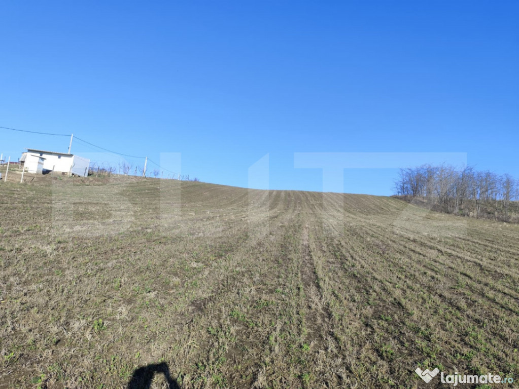 Teren 5000 mp Rediu, oportunitate investitie