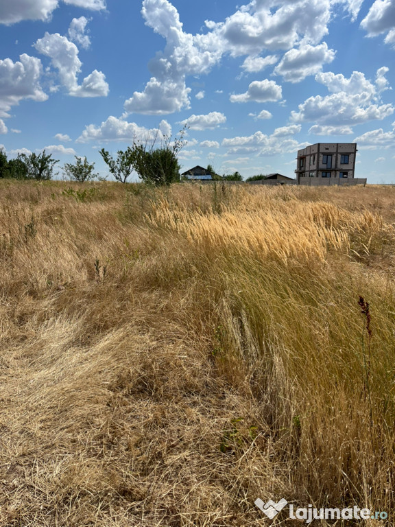 Teren Albești, Simnicul de Sus,