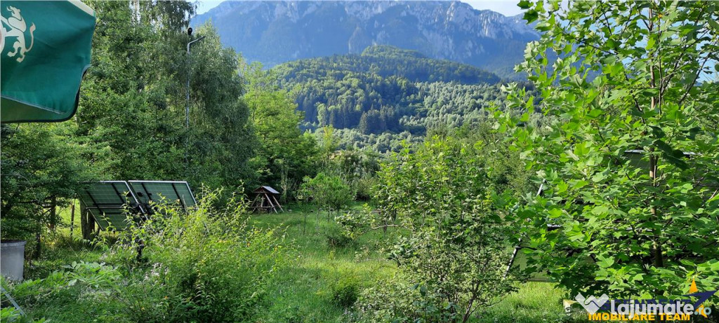 Complex turistic,afacere la cheie,3 vile, teren 7.700 mp,pan