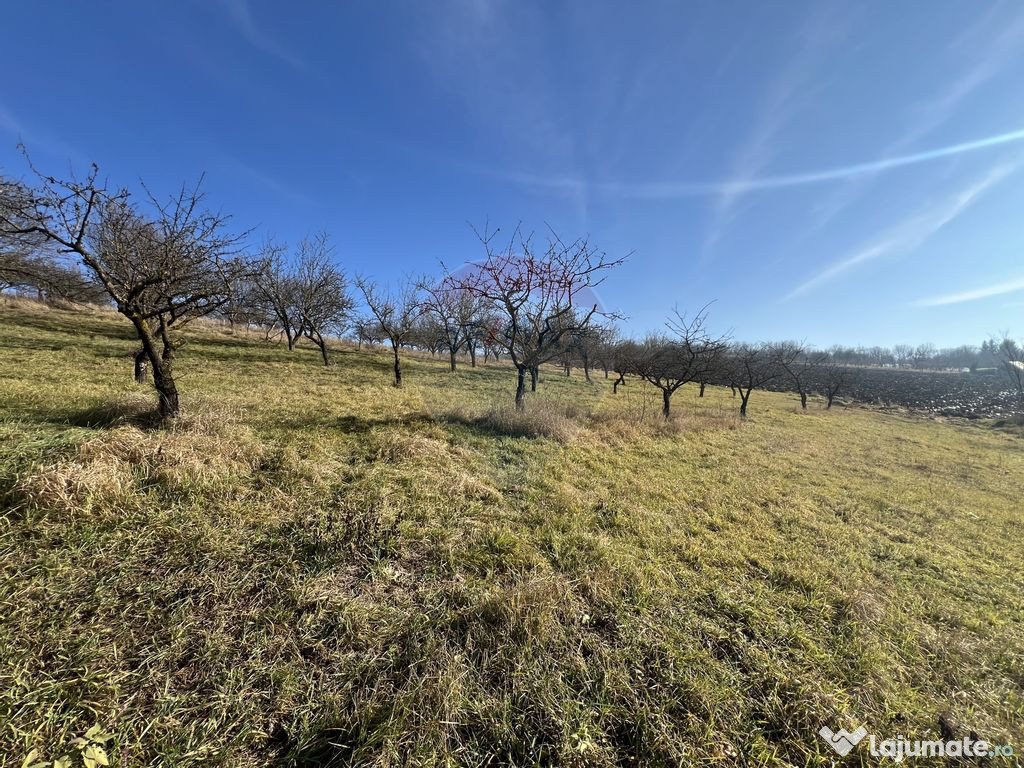 Teren intravilan, Bădeni, parcelabil