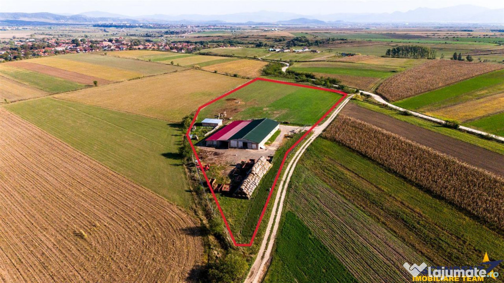 FILM! 18.000 mp,extravilan,agricol constructii, recomandat:f