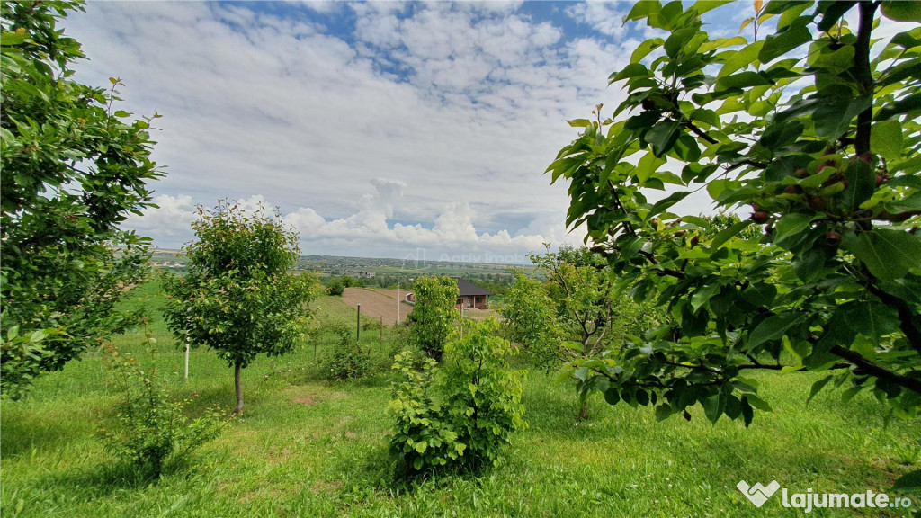 Teren intravilan - 2400 mp - 3 cabane din lemn modulare - Li