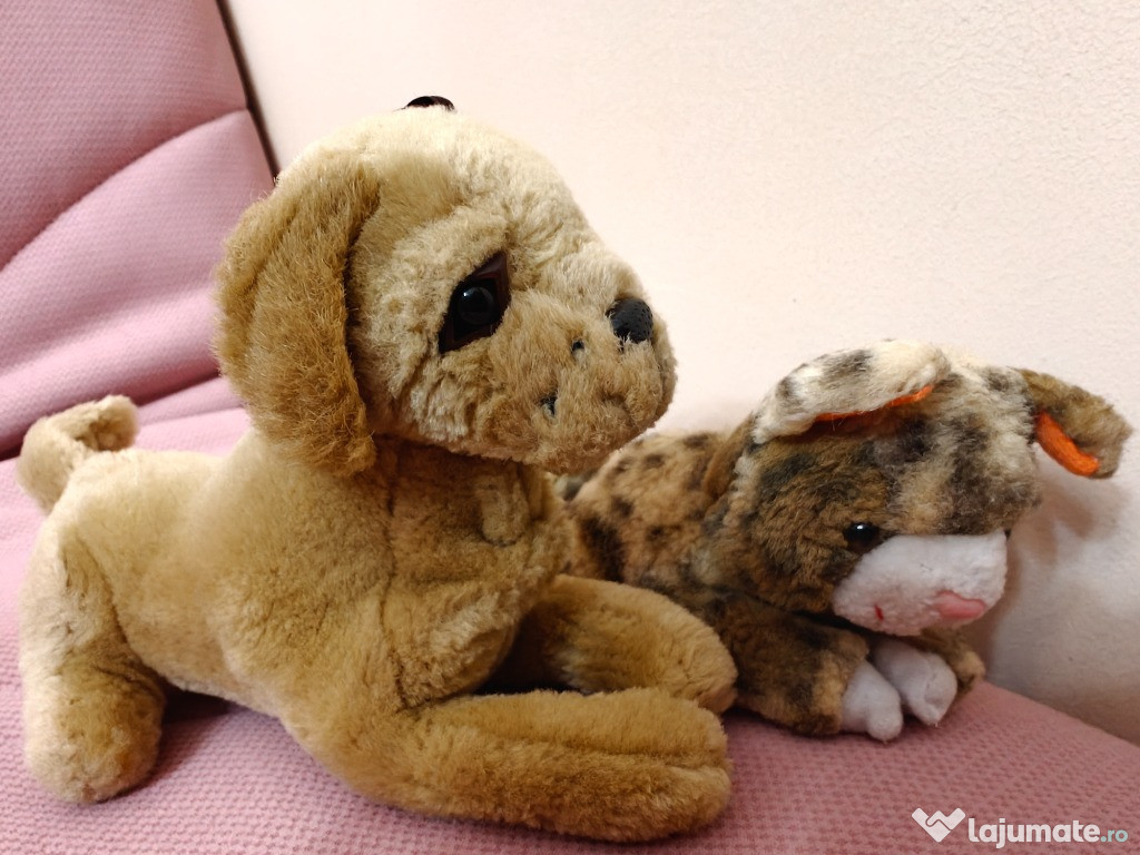 Caine si pisica plus