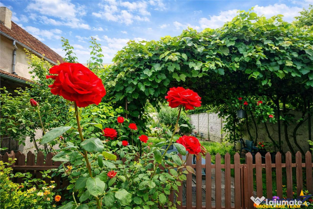 3D!LIVE! Casa cu vatra traditionala, curte si gradina garaj,