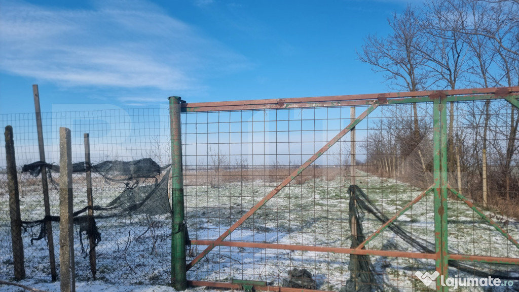 Teren cu livada Nuci- Oportunitate investitie- CioraniPh