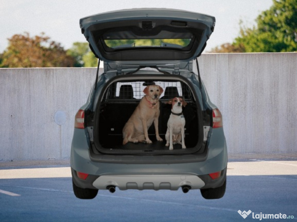 Transport caini,pisici si alte animale de companie