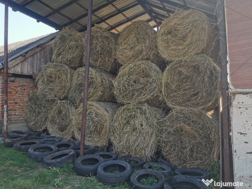 Baloți lucernă și fân