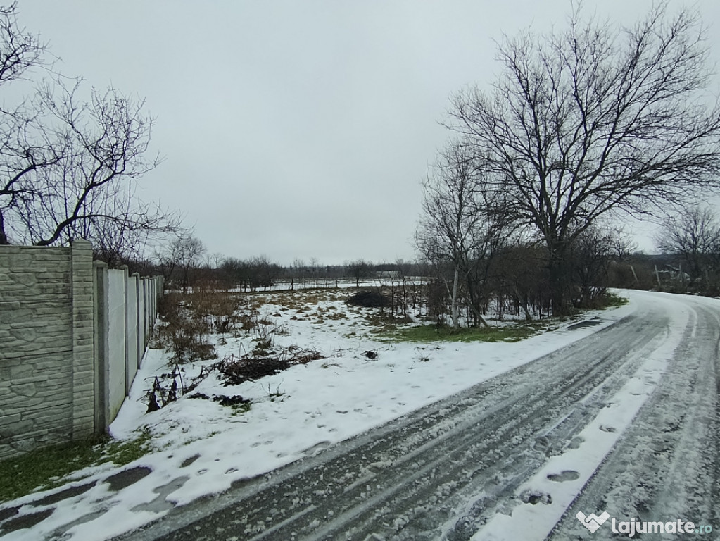 Teren 602 mp, Mischii, front 33,13m