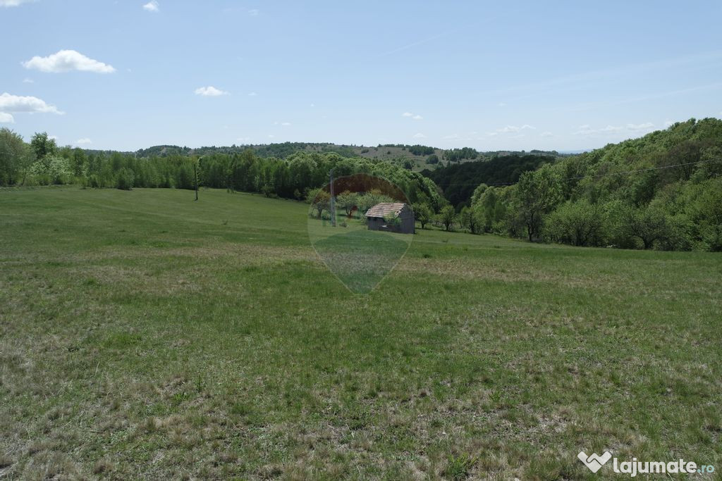 Teren de vânzare în PRELUCA NOUA