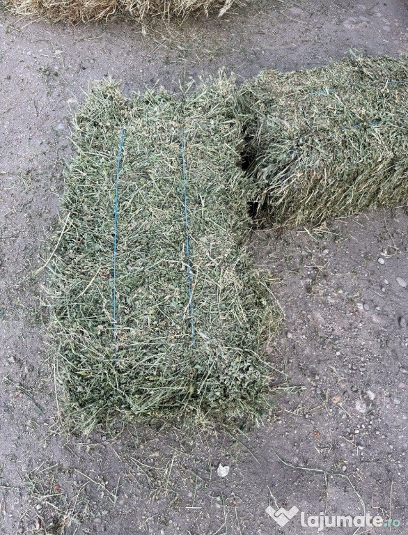 Vând baloți de lucernă și amestec cu otava