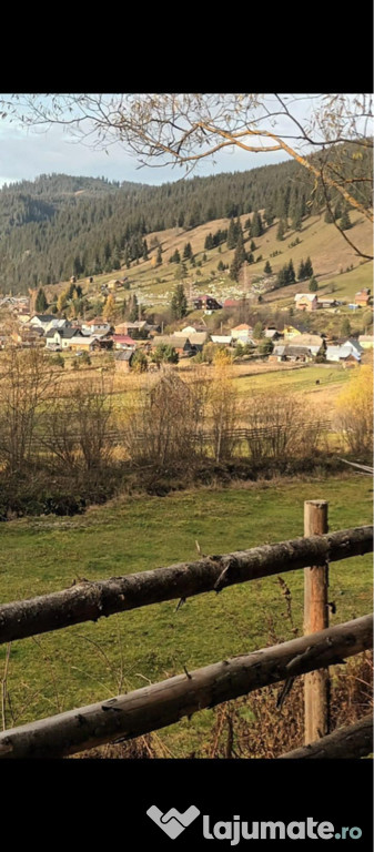 Teren comuna Carlibaba, jud. Suceava 8170mp