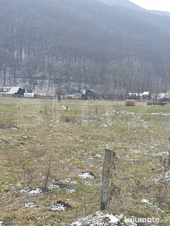 Oportunitate!!!! TEREN INTRAVILAN CU SUPRAFATA DE 5200 MP