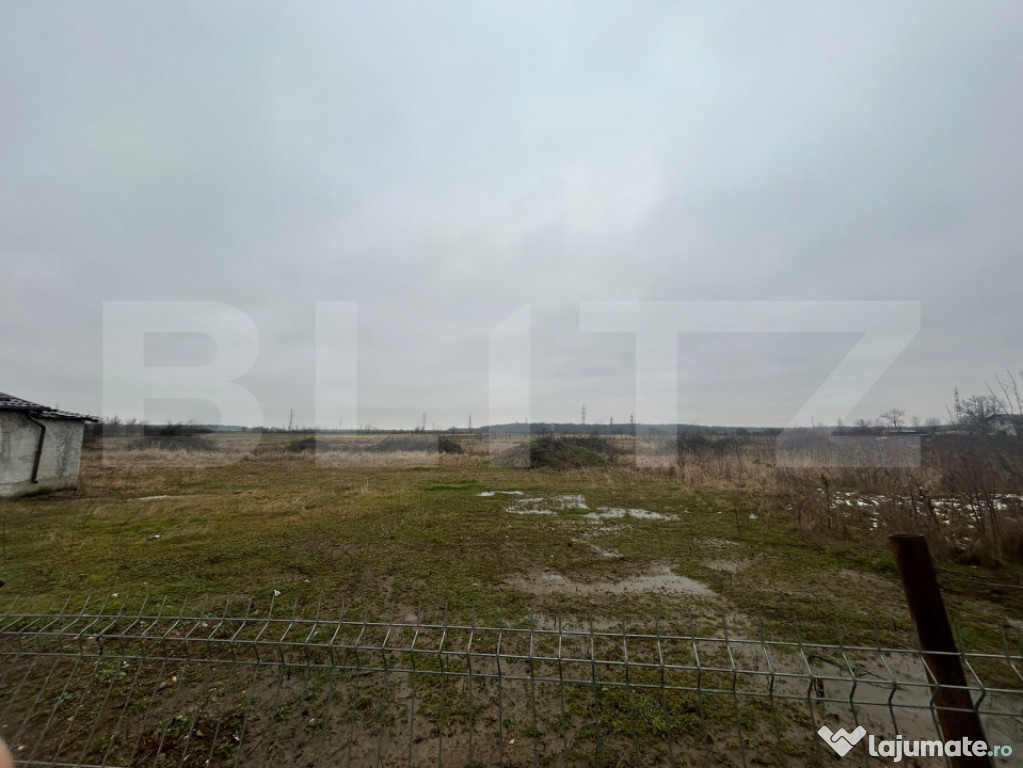 TEREN | PRISEACA | 1716 MP | INTRAVILAN | 20 MP FRONT STRADA