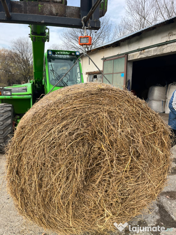 Baloti de lucerna 2025