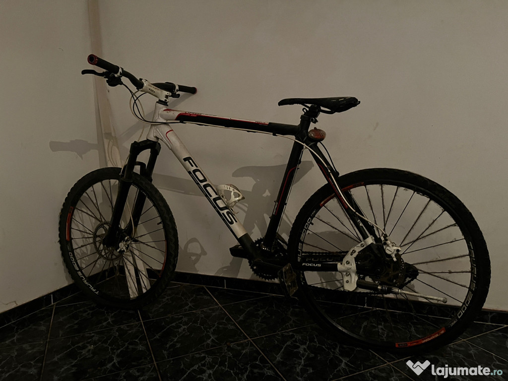 Vand bicicleta Focus Whistler