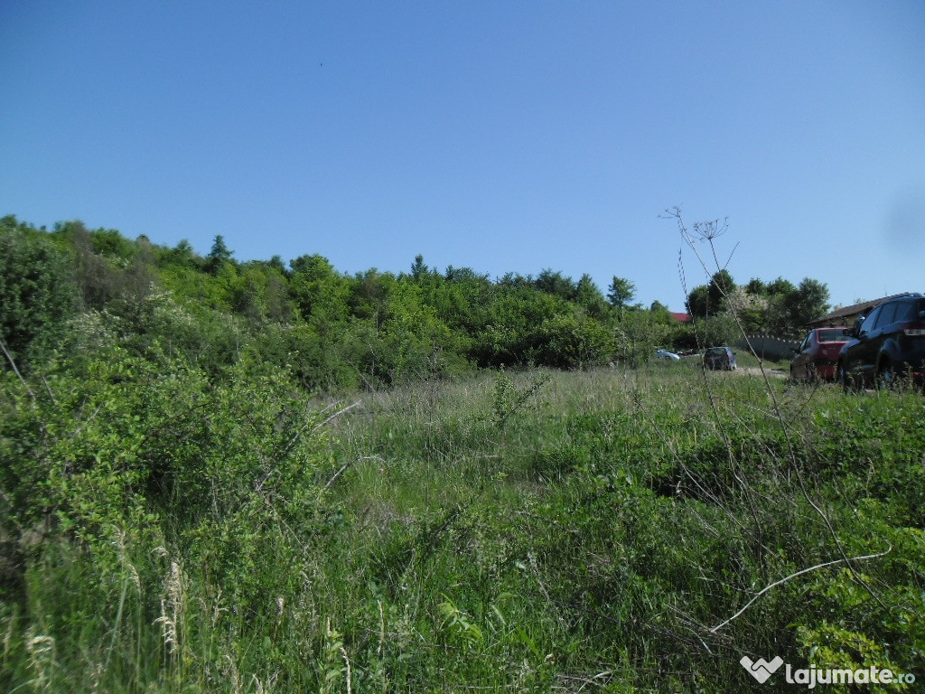 Teren intravilan - Budesti, Valcea. 1050 mp