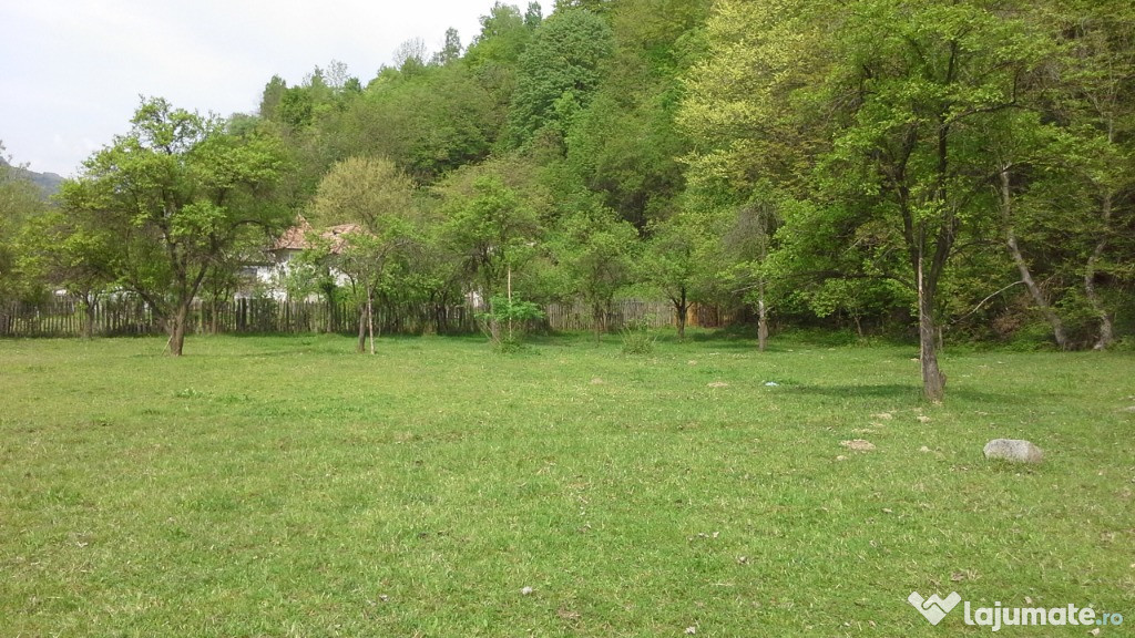 Teren intravilan in Pascoaia, jud. Valcea 1570mp