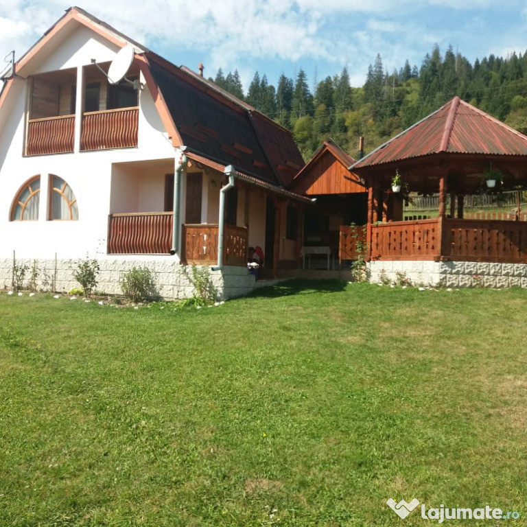 Casa de vacanta/ cabana,Mures Lunca Bradului Central