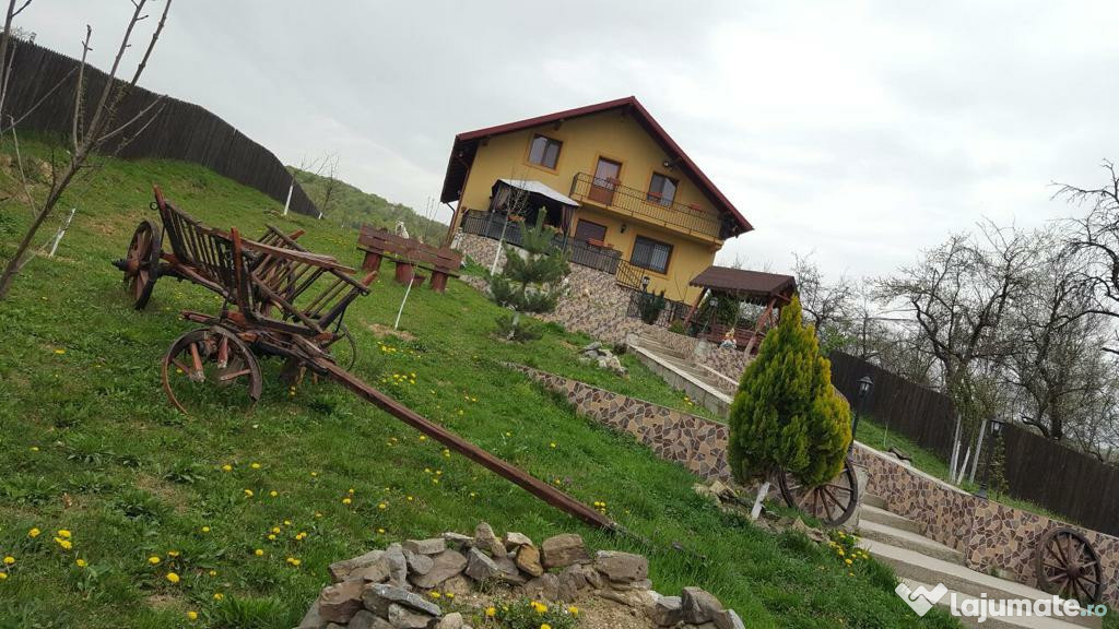 Casa Musatesti Sud