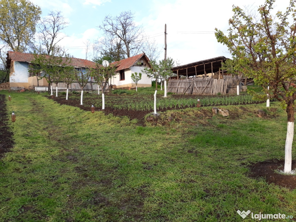 Casa, zona piscicola Gogoșari Giurgiu