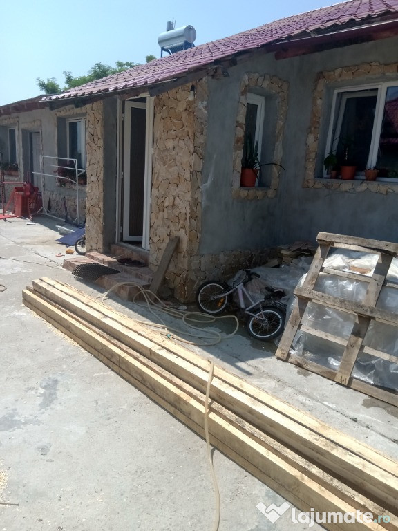 Casă cu piscina,iaz cu pește și stupină Foeni Central