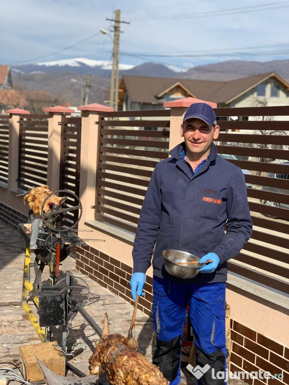 Protap si rotisor ptr. evenimente