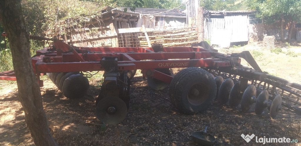 Disc in x quivogne 3m
